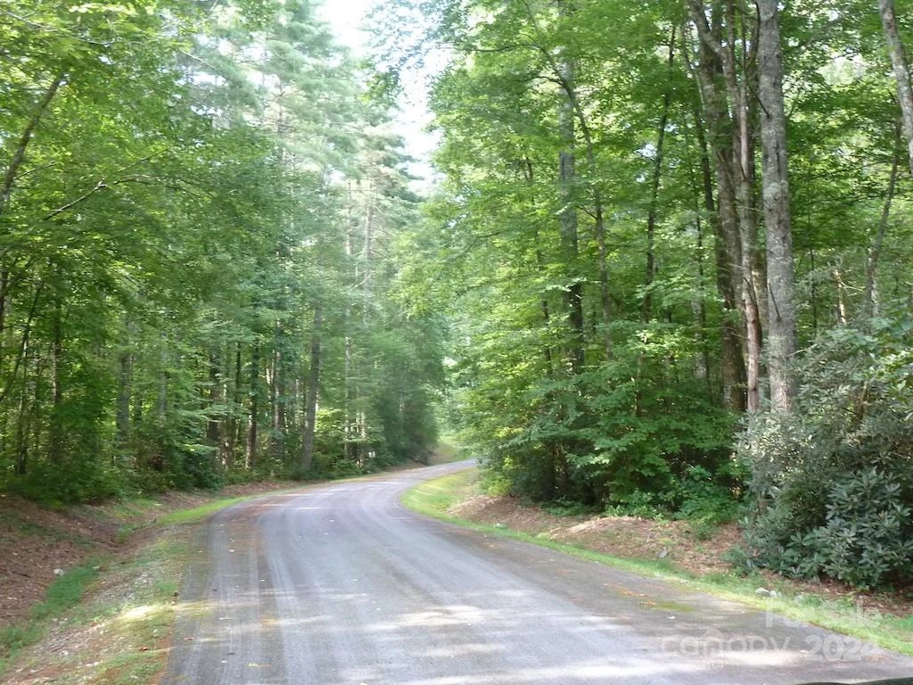 30 Abby Falls Drive #30 - Photo 39