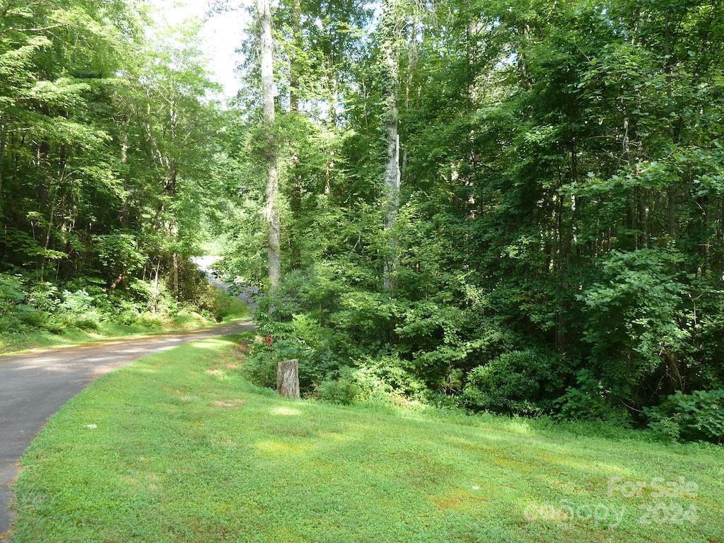 30 Abby Falls Drive #30 - Photo 40