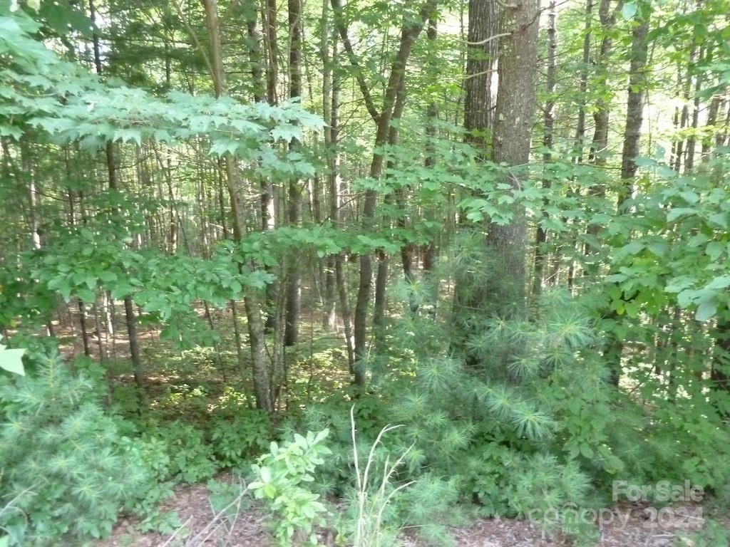 30 Abby Falls Drive #30 - Photo 41