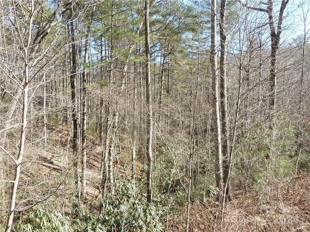 30 Abby Falls Drive #30 - Photo 42