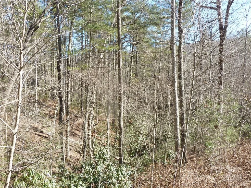 30 Abby Falls Drive #30 - Photo 42