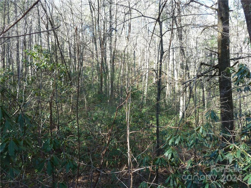 30 Abby Falls Drive #30 - Photo 44