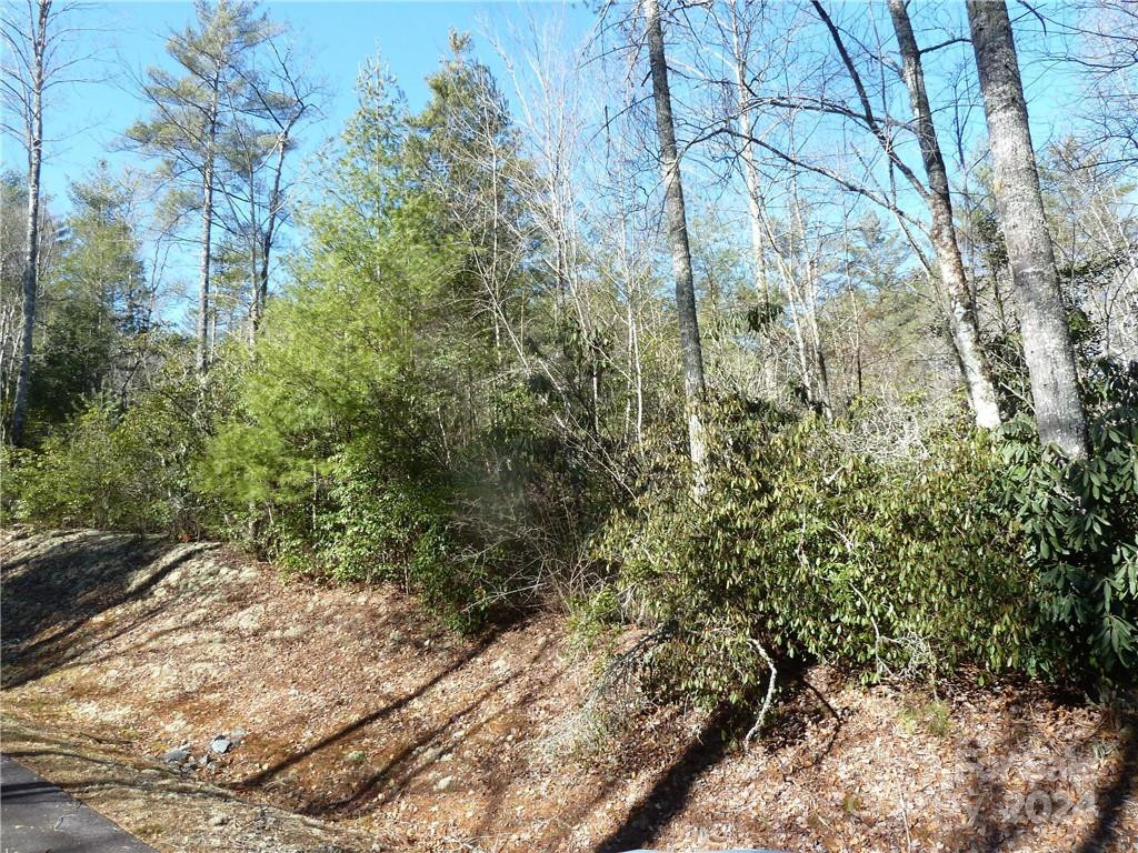 30 Abby Falls Drive #30 - Photo 45