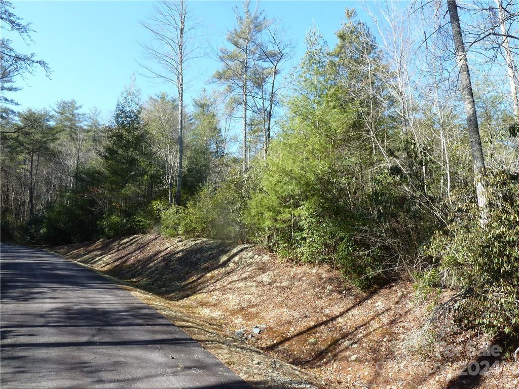 30 Abby Falls Drive #30 - Photo 46