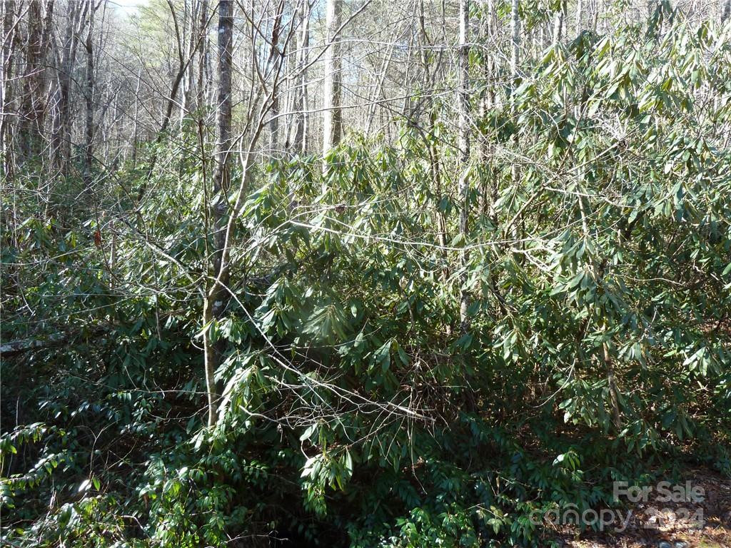 30 Abby Falls Drive #30 - Photo 47