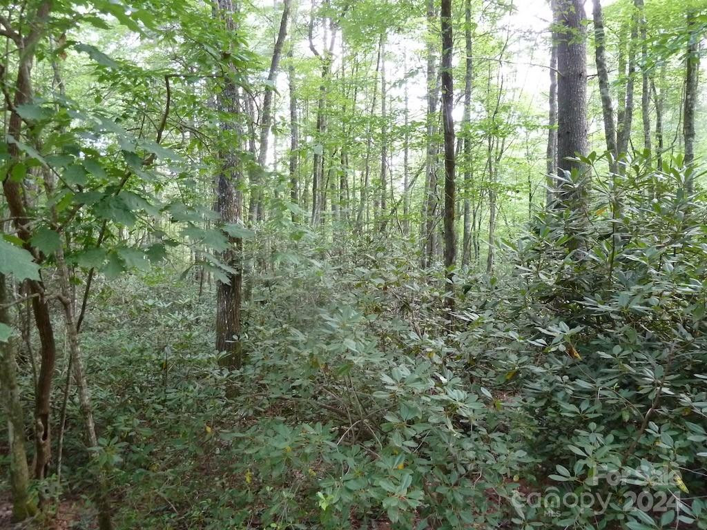 30 Abby Falls Drive #30 - Photo 6