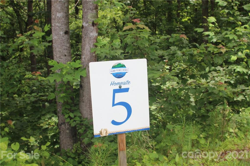 2202 Island View Lane #5 - Photo 3