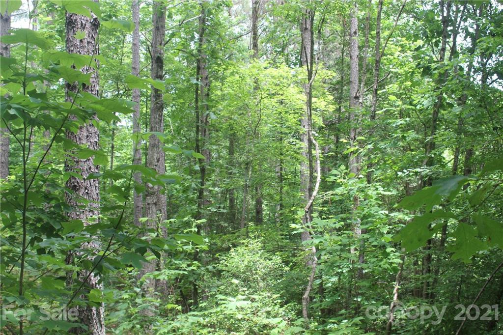 2202 Island View Lane #5 - Photo 5