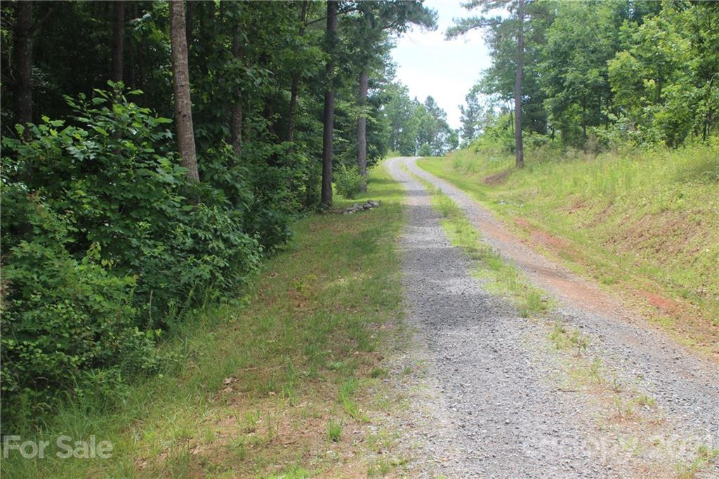 2202 Island View Lane #5 - Photo 7