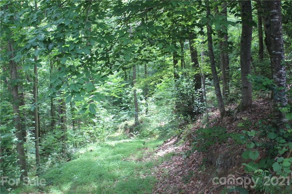 2202 Island View Lane #5 - Photo 8