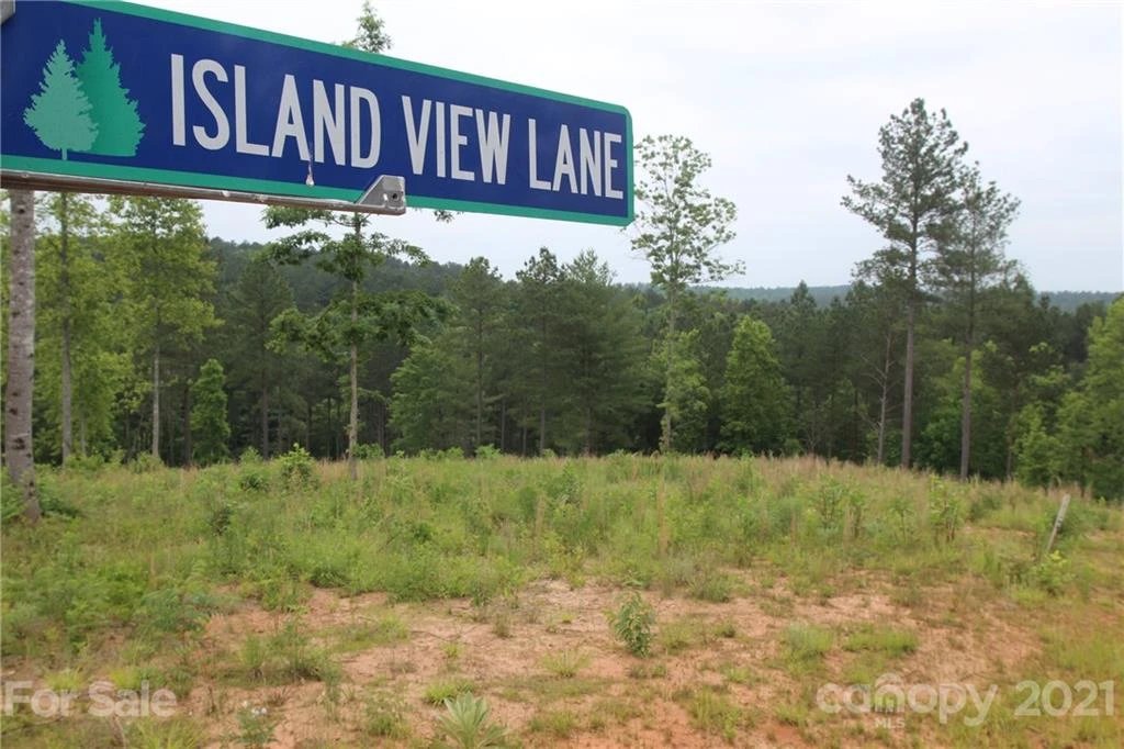 2202 Island View Lane #5 - Photo 10