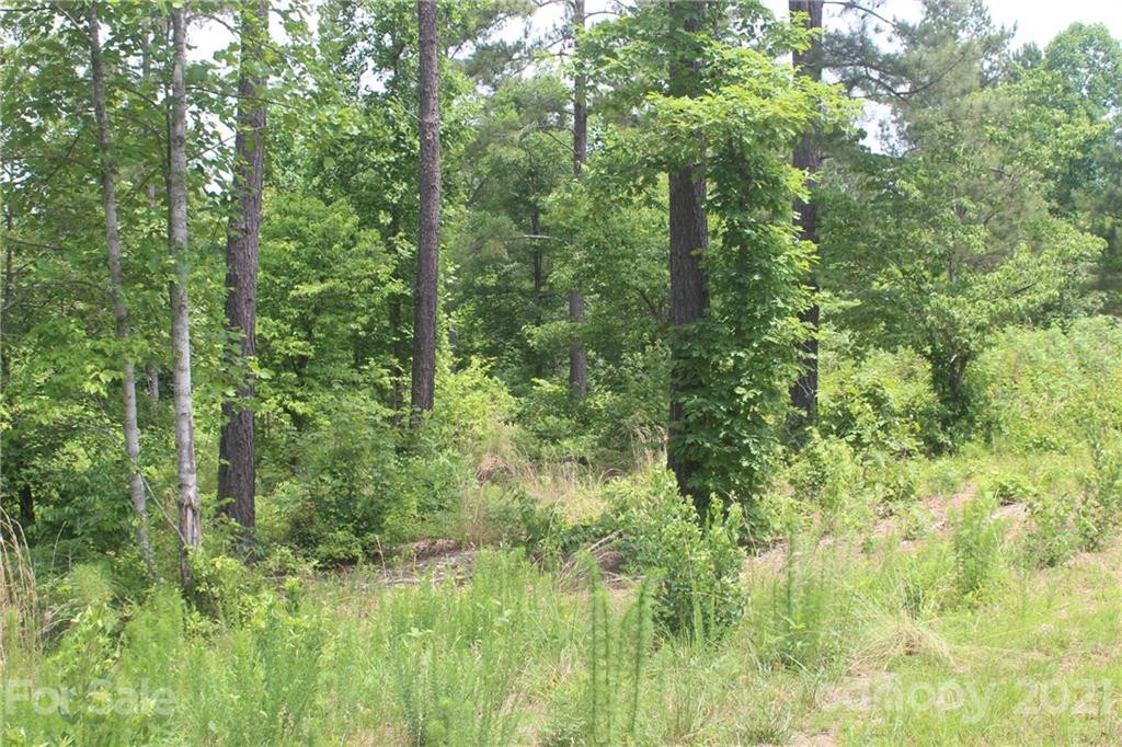 1826 Lake Vista Drive #2 - Photo 5