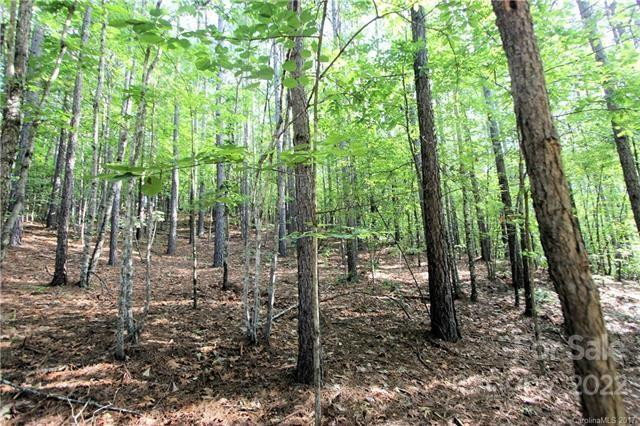 0 Chasewood Drive #8 - Photo 4