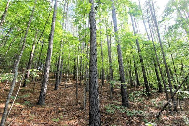 0 Chasewood Drive #8 - Photo 5