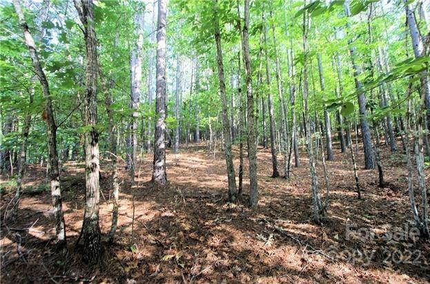 0 Chasewood Drive #8 - Photo 7