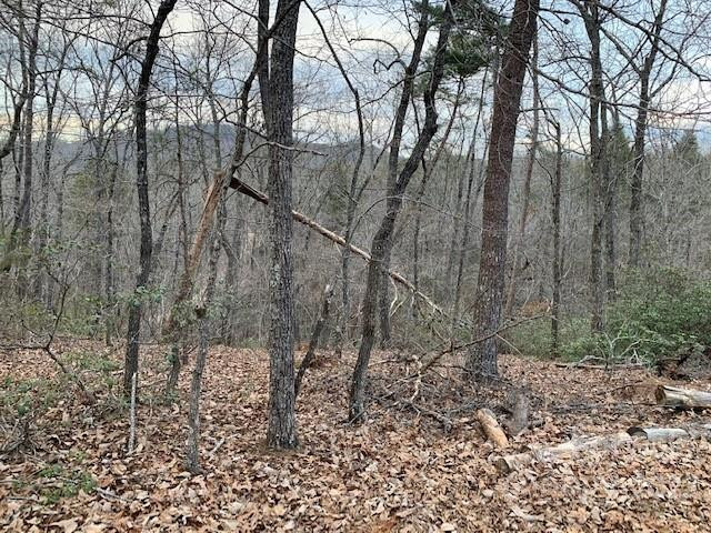 301 Otter Lane #301