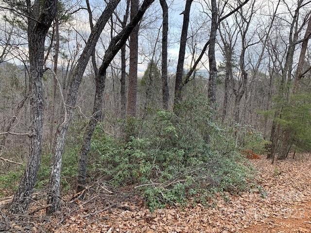 301 Otter Lane #301 - Photo 2