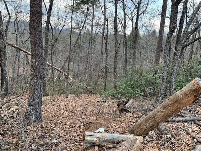 301 Otter Lane #301 - Photo 5