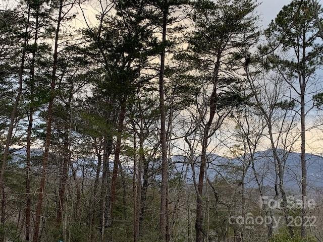 301 Otter Lane #301 - Photo 6