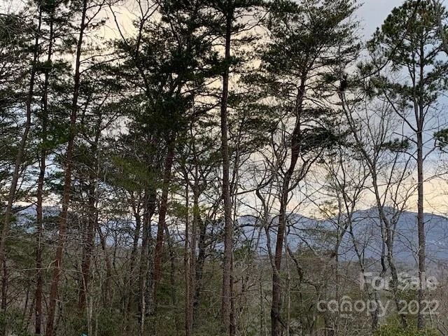 301 Otter Lane #301 - Photo 6