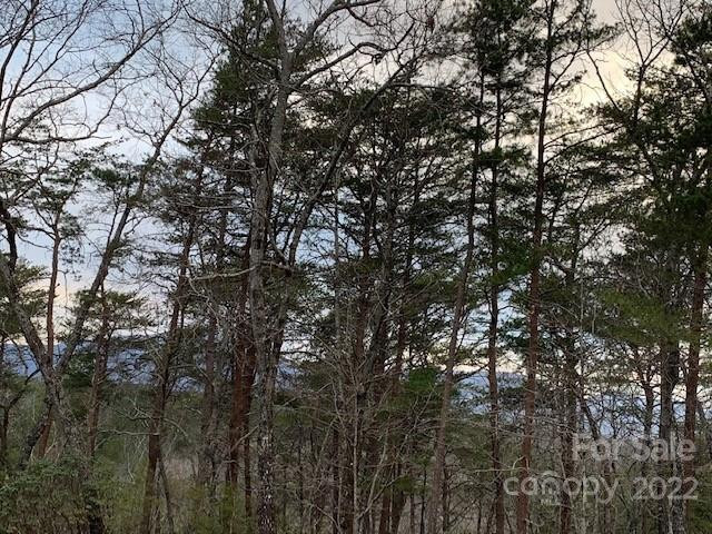 301 Otter Lane #301 - Photo 7