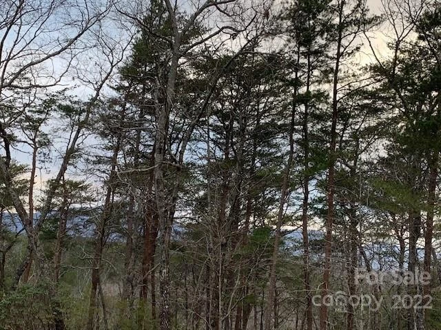 301 Otter Lane #301 - Photo 7