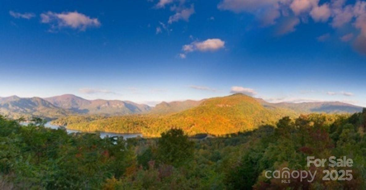 31 High Rock Ridge #31 - Photo 13