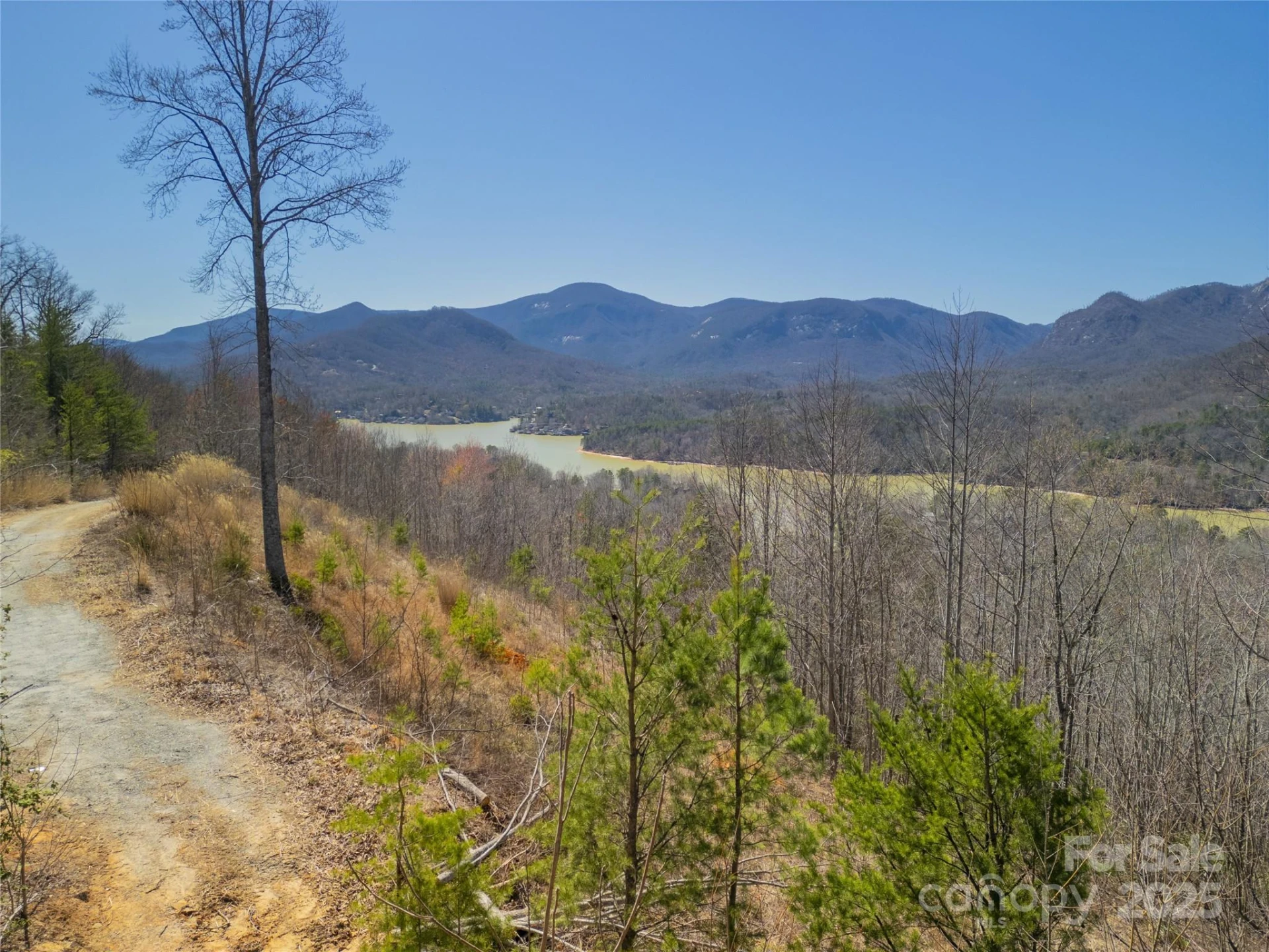 31 High Rock Ridge #31 - Photo 4