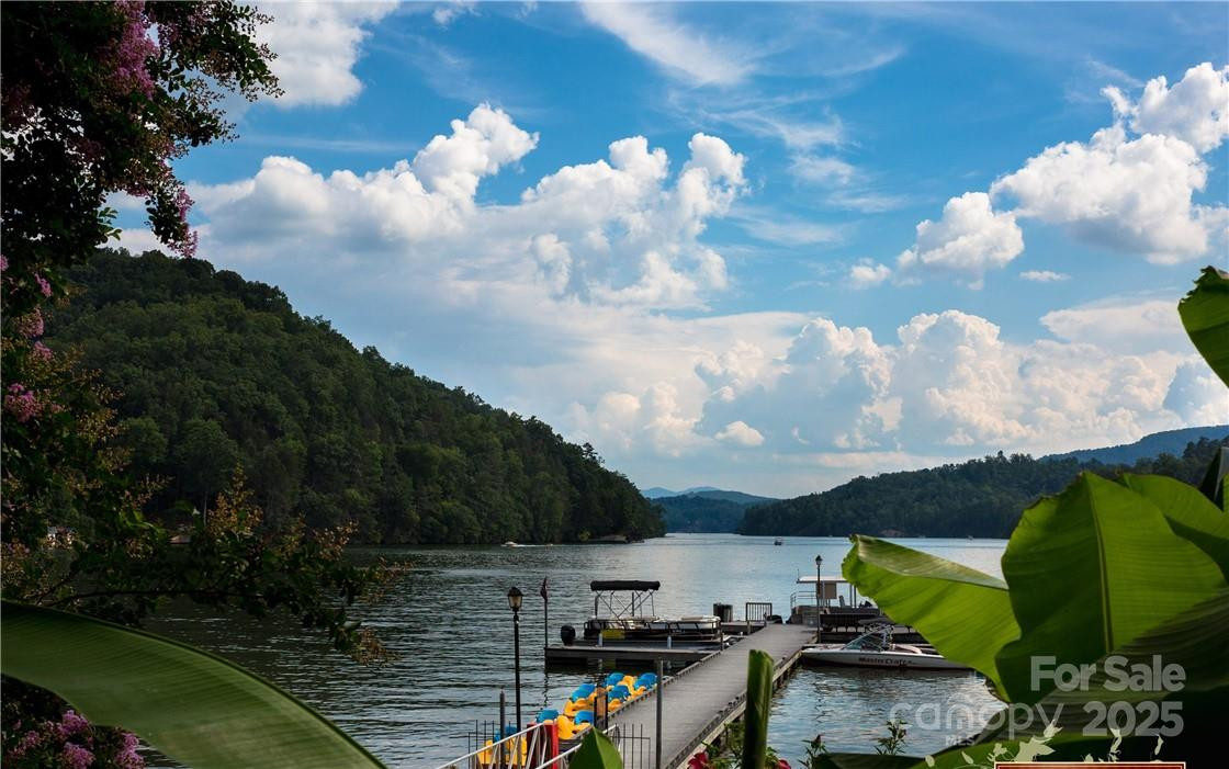 31 High Rock Ridge #31 - Photo 36