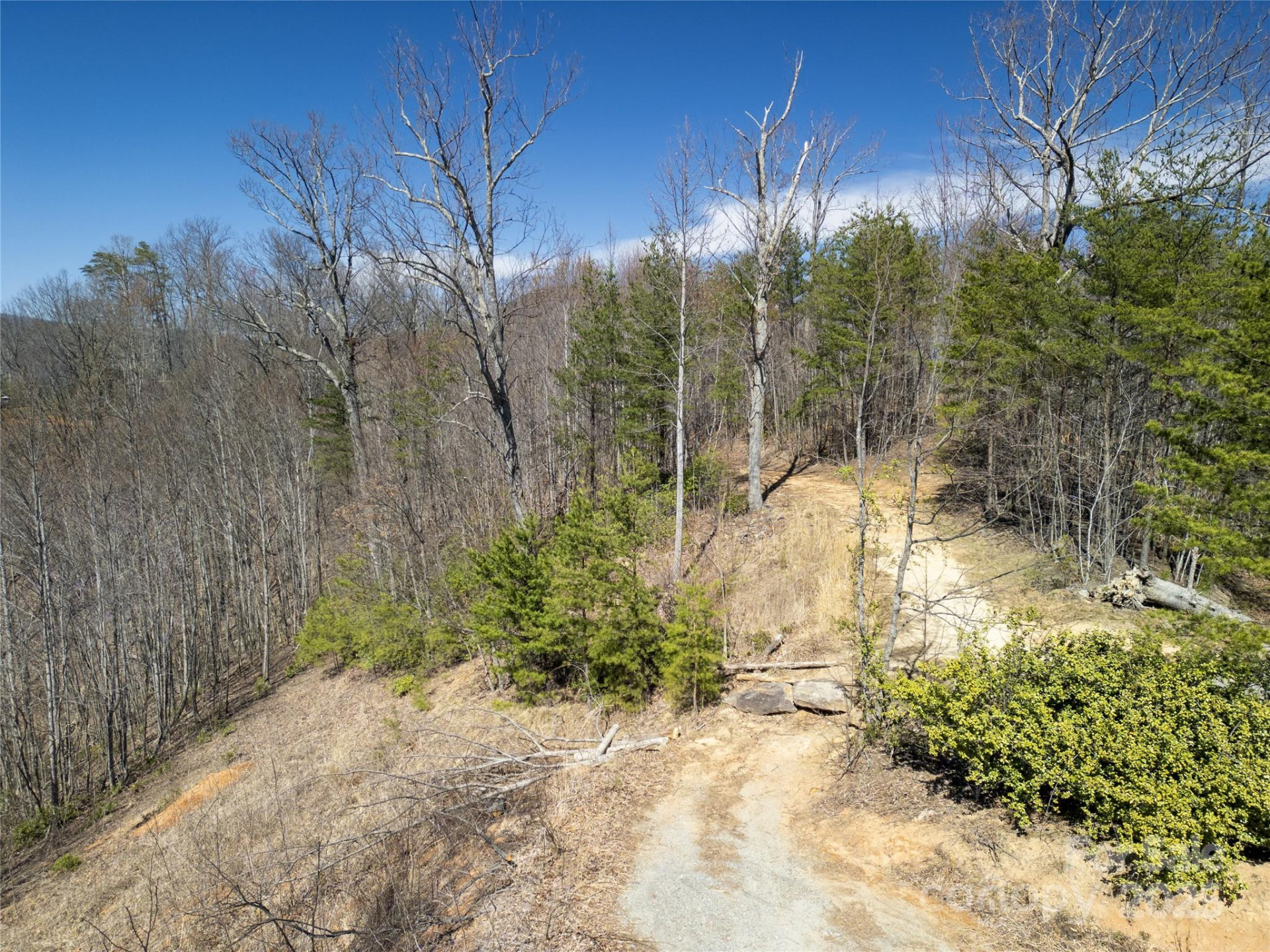 31 High Rock Ridge #31 - Photo 6