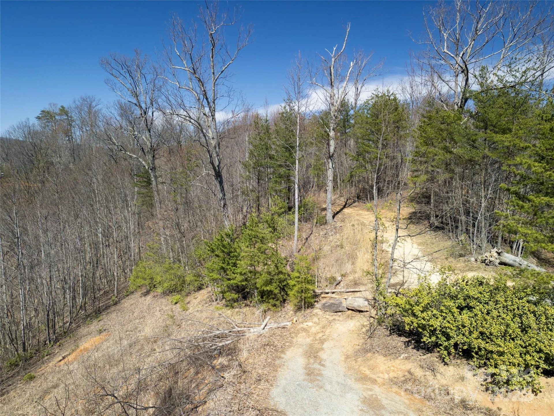 31 High Rock Ridge #31 - Photo 6