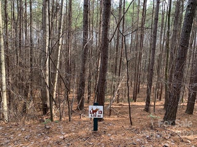 0 Chasewood Drive #13 - Photo 3