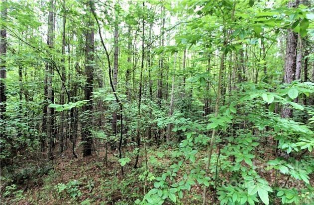 0 Chasewood Drive #13 - Photo 4