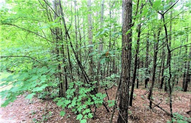 0 Chasewood Drive #13 - Photo 5