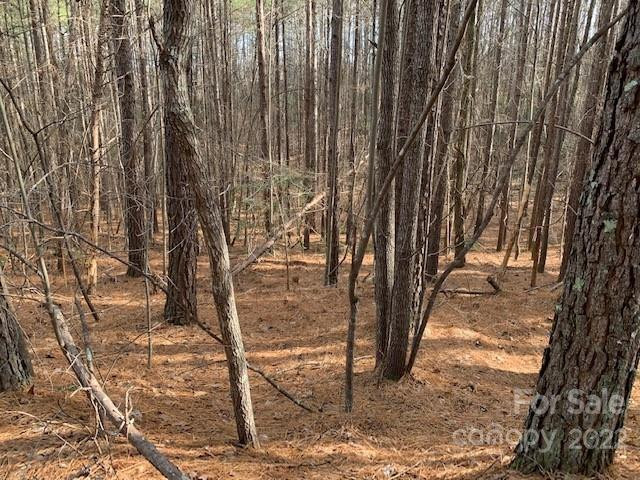 0 Chasewood Drive #13 - Photo 7