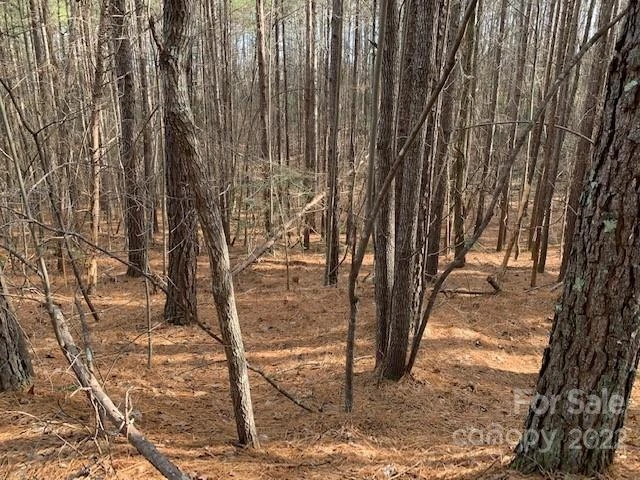 0 Chasewood Drive #13 - Photo 7