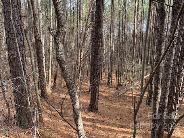 0 Chasewood Drive #13 - Photo 8