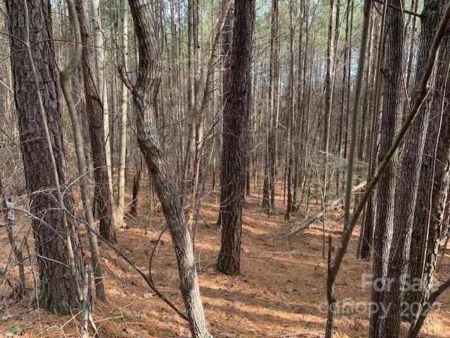 0 Chasewood Drive #13 - Photo 8