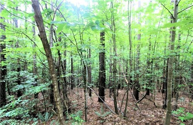 0 Chasewood Drive #16 - Photo 2