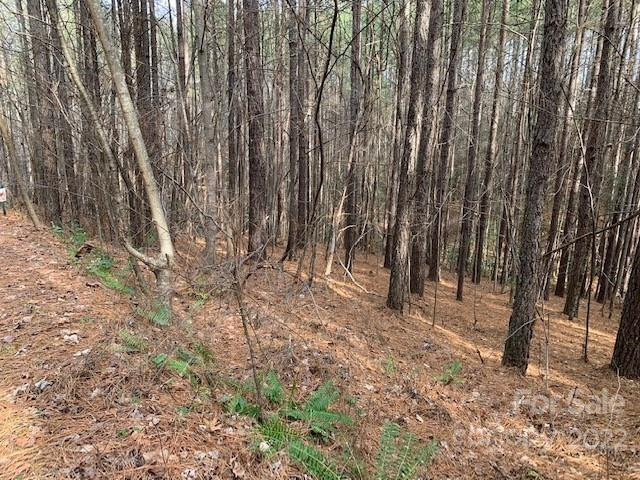 0 Chasewood Drive #16 - Photo 3