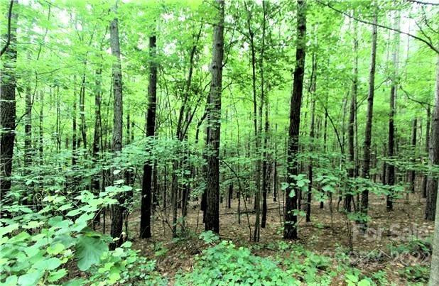 0 Chasewood Drive #16 - Photo 4