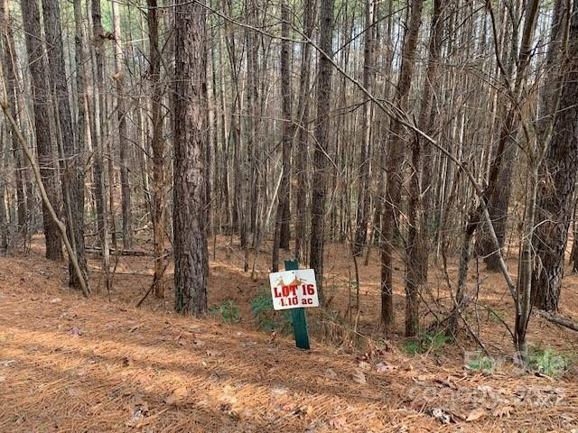 0 Chasewood Drive #16 - Photo 5