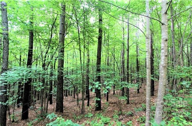 0 Chasewood Drive #16 - Photo 6