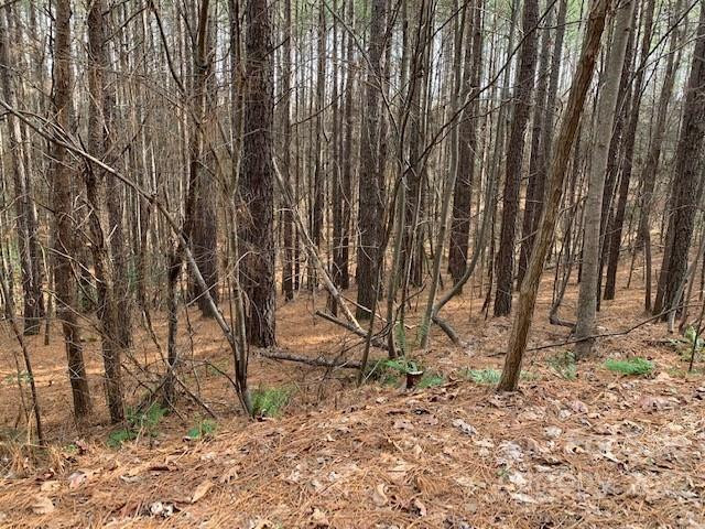 0 Chasewood Drive #16 - Photo 7