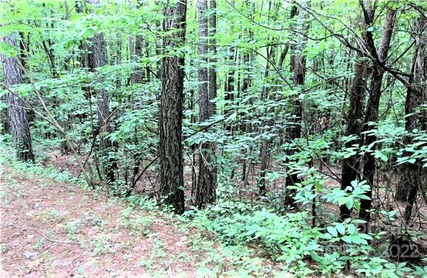 0 Chasewood Drive #16 - Photo 8