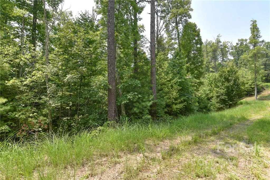 Lot 2 The Vines Boulevard #Lot 2 - Photo 4