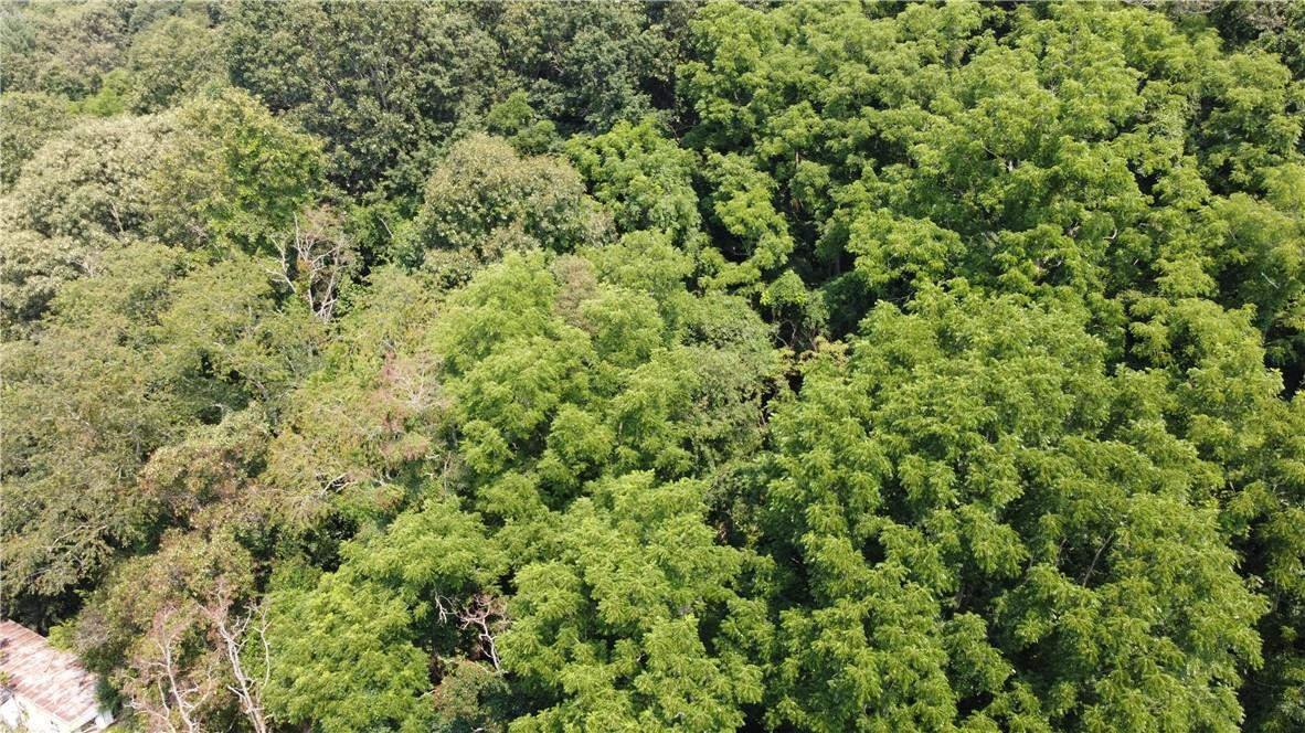 TBD England Road - Photo 2