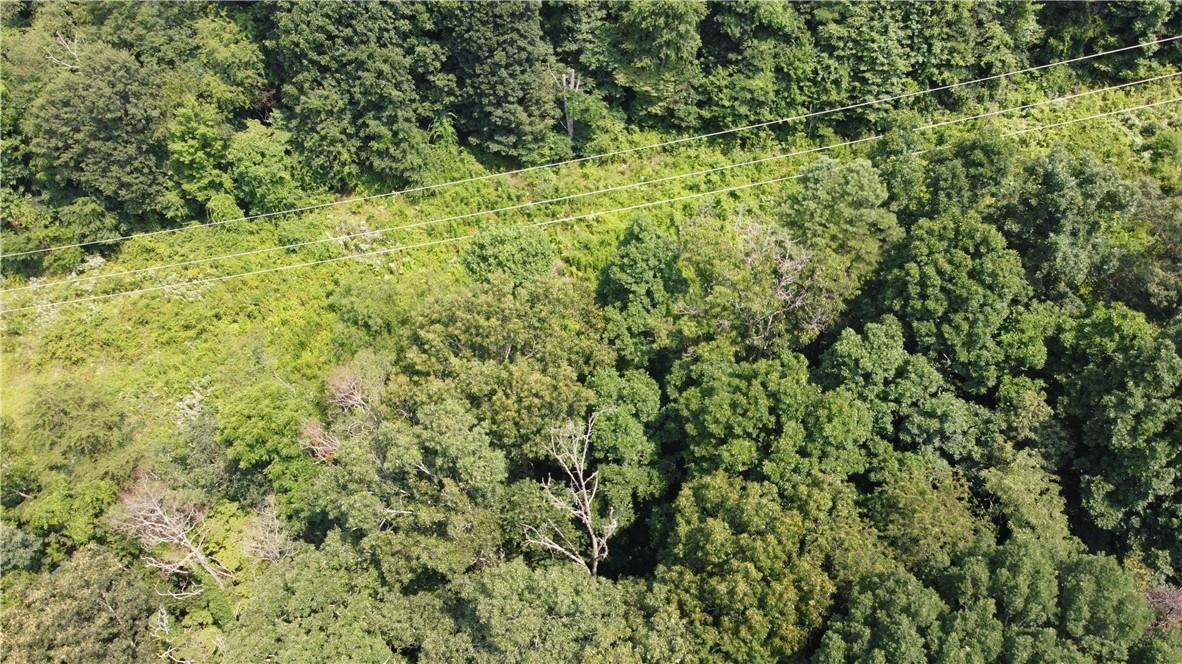 TBD England Road - Photo 3