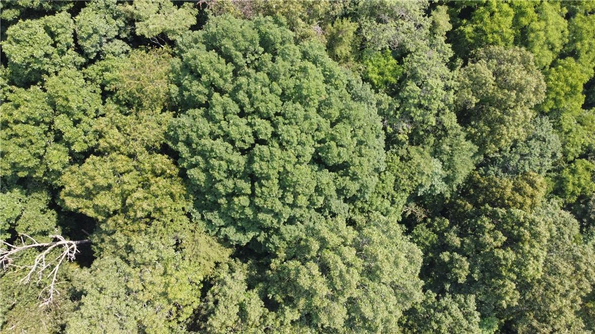 TBD England Road - Photo 4