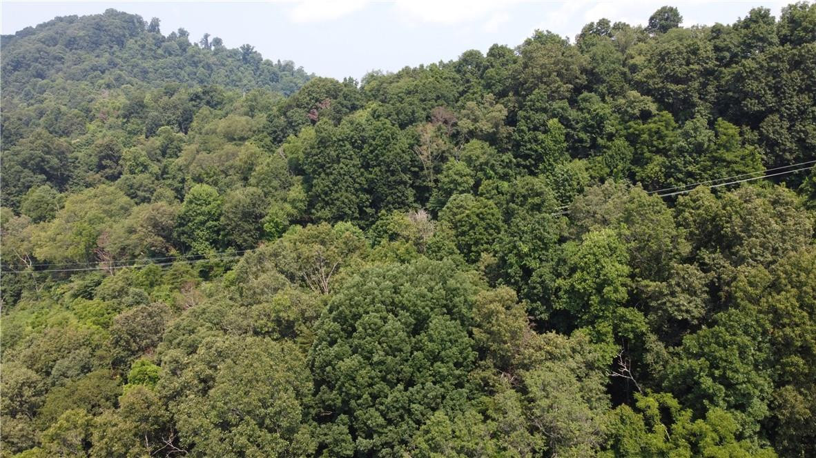 TBD England Road - Photo 5